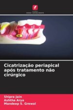Cicatrização periapical após tratamento não cirúrgico