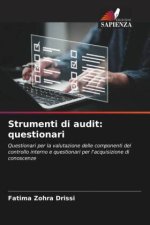 Strumenti di audit: questionari
