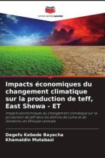 Impacts économiques du changement climatique sur la production de teff, East Shewa - ET