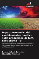 Impatti economici del cambiamento climatico sulla produzione di Teff, East Shewa - ET