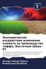 Jekonomicheskoe wozdejstwie izmeneniq klimata na proizwodstwo teffa, Vostochnaq Shewa - ET