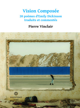 Vision composée