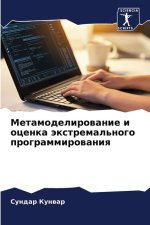 Metamodelirowanie i ocenka äxtremal'nogo programmirowaniq
