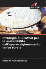 Strategia di COWSO per la sostenibilità dell'approvvigionamento idrico rurale