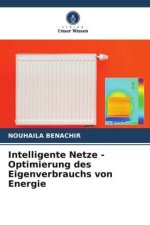 Intelligente Netze - Optimierung des Eigenverbrauchs von Energie