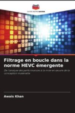 Filtrage en boucle dans la norme HEVC émergente