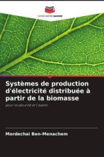 Systèmes de production d'électricité distribuée à partir de la biomasse