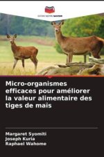Micro-organismes efficaces pour améliorer la valeur alimentaire des tiges de maïs