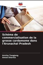 Schéma de commercialisation de la grosse cardamome dans l'Arunachal Pradesh