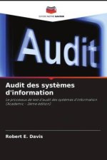 Audit des systèmes d'information