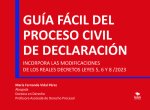 Guía fácil del proceso civil de declaración