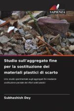 Studio sull'aggregato fine per la sostituzione dei materiali plastici di scarto