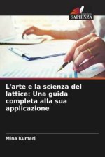 L'arte e la scienza del lattice: Una guida completa alla sua applicazione