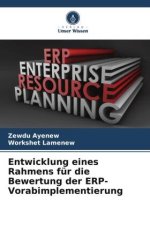 Entwicklung eines Rahmens für die Bewertung der ERP-Vorabimplementierung
