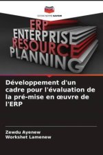 Développement d'un cadre pour l'évaluation de la pré-mise en oeuvre de l'ERP
