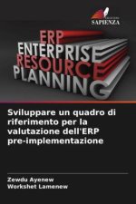 Sviluppare un quadro di riferimento per la valutazione dell'ERP pre-implementazione