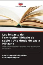 Les impacts de l'extraction illégale de sable : Une étude de cas à Mbizana