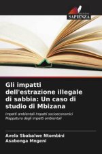 Gli impatti dell'estrazione illegale di sabbia: Un caso di studio di Mbizana
