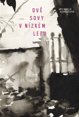 Dvďż˝ sovy v nďż˝zkďż˝m letu