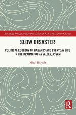 Slow Disaster