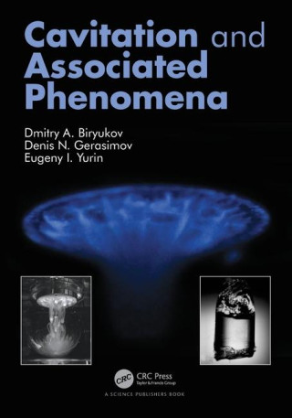 Cavitation and Associated Phenomena (Dmitry Biryukov,Eugeny Yurin)(Carte broșată)