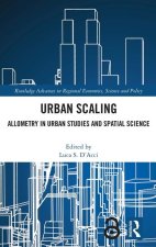 Urban Scaling