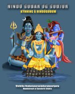 Hindu gu?ir og gy?jur