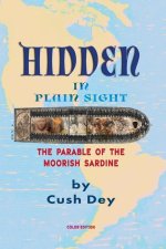 Hidden in Plain Sight