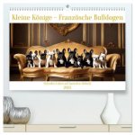 Kleine Könige - Französische Bulldoggen (hochwertiger Premium Wandkalender 2025 DIN A2 quer), Kunstdruck in Hochglanz
