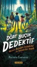 Dört Bucuk Dedektif