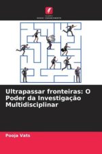 Ultrapassar fronteiras: O Poder da Investigaç?o Multidisciplinar