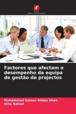Factores que afectam o desempenho da equipa de gest?o de projectos