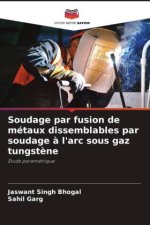 Soudage par fusion de métaux dissemblables par soudage ? l'arc sous gaz tungst?ne