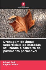 Drenagem de águas superficiais de estradas utilizando o conceito de pavimento permeável