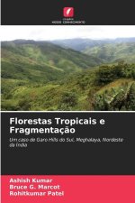 Florestas Tropicais e Fragmentaç?o
