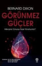 Görünmez Gücler