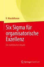 Six Sigma für organisatorische Exzellenz