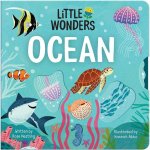 Little Wonders Ocean