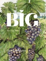 BIG – SAINT-TROPEZ N°5 : Spécial vin et vignes