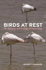 Birds at Rest – The Behavior and Ecology of Avian Sleep