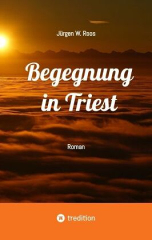 Begegnung in Triest - Ein spannender Politthriller