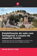Estabilização do solo com fosfogesso e ensaio de material Surkhi