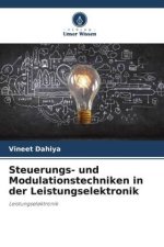 Steuerungs- und Modulationstechniken in der Leistungselektronik