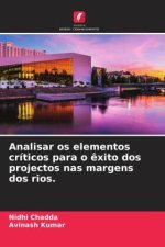 Analisar os elementos críticos para o êxito dos projectos nas margens dos rios.