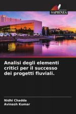 Analisi degli elementi critici per il successo dei progetti fluviali.