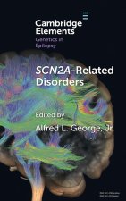 SCN2A-Related Disorders