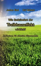 Wie funktioniert der Treibhauseffekt wirklich?