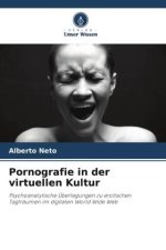 Pornografie in der virtuellen Kultur
