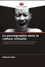 La pornographie dans la culture virtuelle