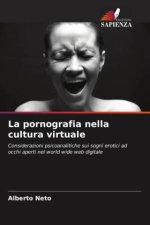 La pornografia nella cultura virtuale